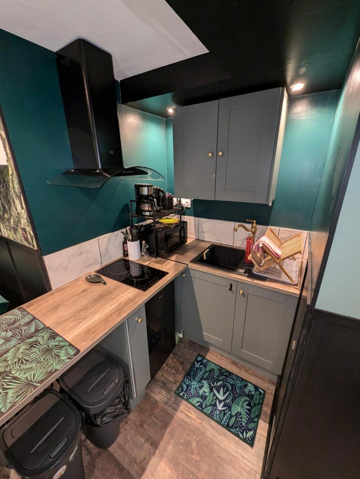 Appartement Verdoyant Au Bord Du Lac Leman Entre Evian Et Thonon Dans Une Villa Publier Luaran gambar