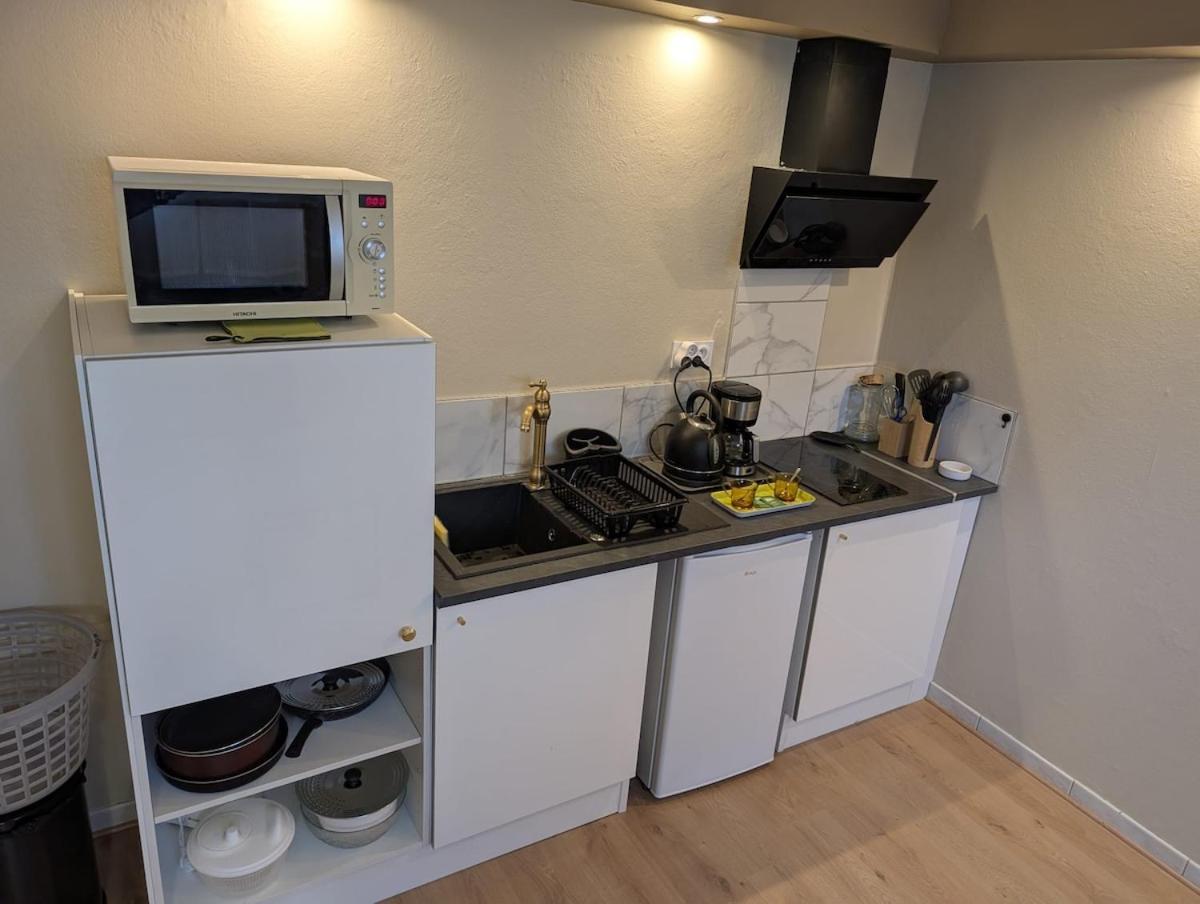 Appartement Verdoyant Au Bord Du Lac Leman Entre Evian Et Thonon Dans Une Villa Publier Luaran gambar